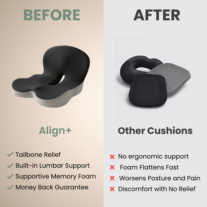 Revessa - Memory Foam Cushion